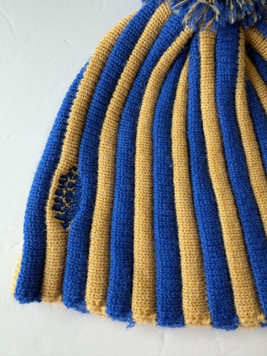NWOT Free People FP Movement Alpine Pom Beanie main image 9